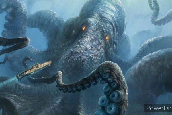 Kraken kraken link24 info