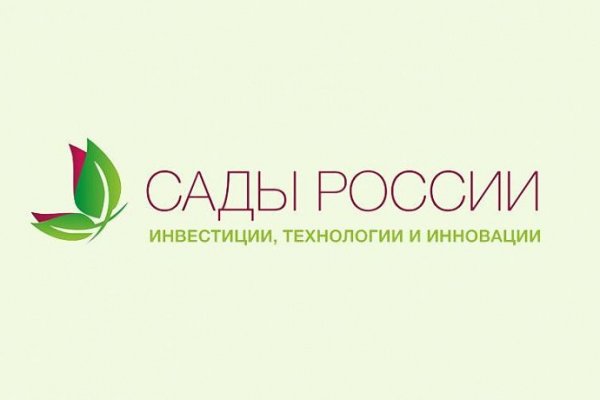 Кракен даркнет только через торг